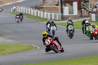 Vintage-motorcycle-club;eventdigitalimages;mallory-park;mallory-park-trackday-photographs;no-limits-trackdays;peter-wileman-photography;trackday-digital-images;trackday-photos;vmcc-festival-1000-bikes-photographs